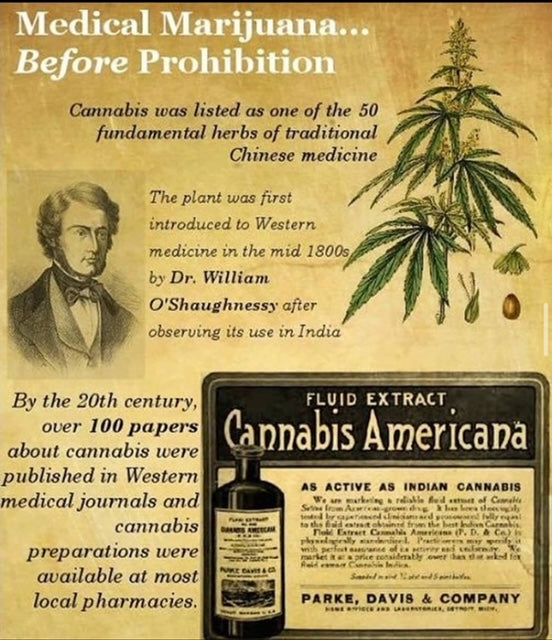 From Ancient Rituals to Modern Controversy: A Historical Journey of Marijuana Use